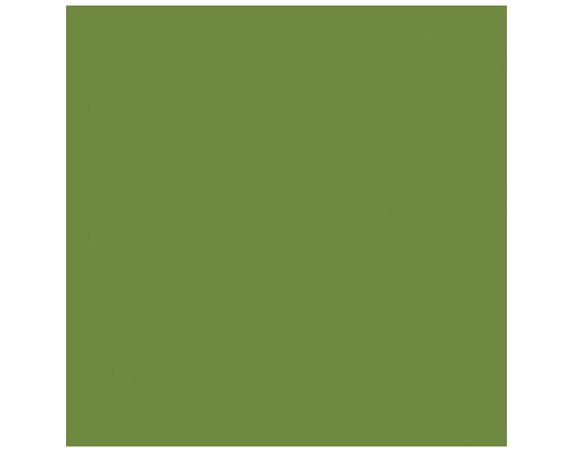 Serviet Dunisoft/ airlaid 40x40 cm. Bio Leaf green
