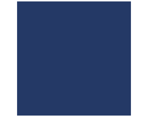 Serviet Duni 2-lag 24x24 cm. mørkeblå