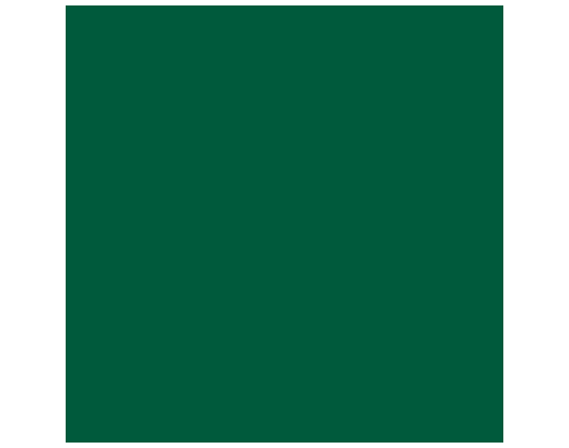 Serviet Duni 3-lag 24x24 cm. mørkegrøn