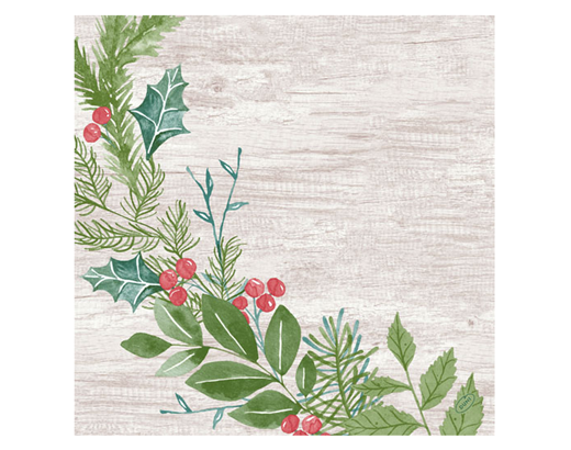Serviet Dunisoft/airlaid Bio 40x40 cm Winter Greenery(JUL)#