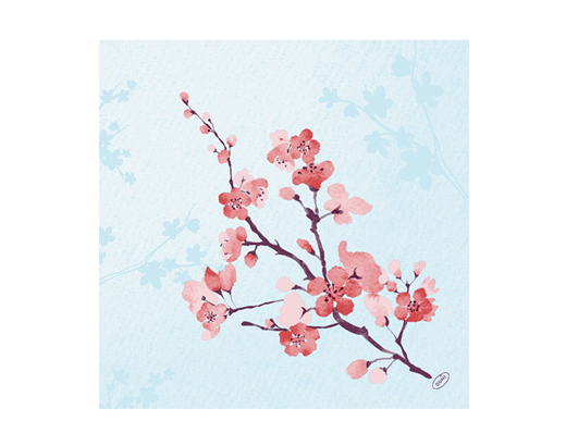 Serviet DuniSoft/airlaid 40x40 cm Bio Cherry Bree#
