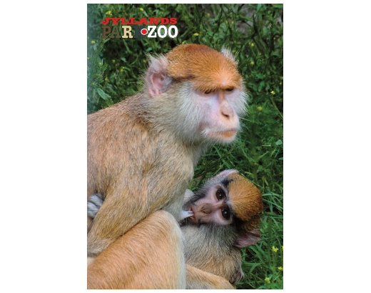 Køleskabsmagnet Epoxy 80x55 mm. Abe m/unge Zoo HEAVY#