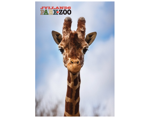 Køleskabsmagnet Epoxy 80x55 mm. Giraf Zoo HEAVY#
