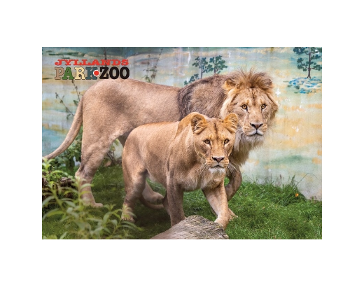 Køleskabsmagnet Epoxy 80x55 mm. Løver Zoo HEAVY#