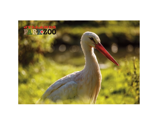 Køleskabsmagnet Epoxy 80x55 mm. Stork Zoo HEAVY#